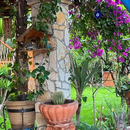 Villa Verde Vlore فلورا