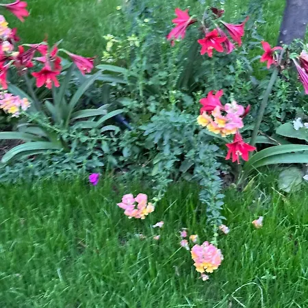 Villa Verde Vlore شقة فندقية فلورا