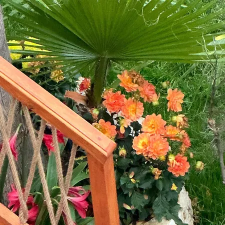 Villa Verde Vlore * فلورا