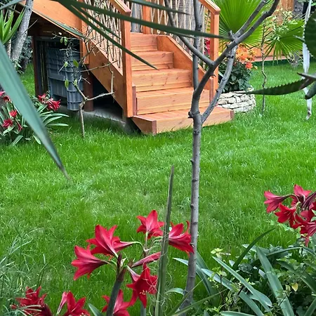 شقة فندقية Villa Verde Vlore