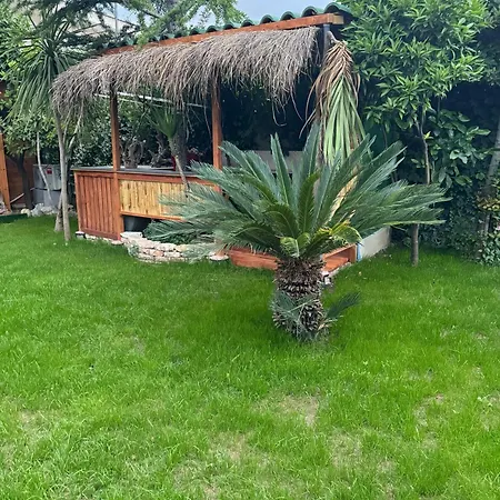 Ξενοδοχείο με διαμερίσματα Villa Verde Vlore *