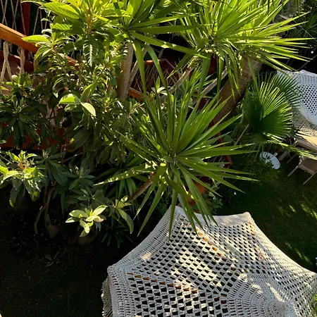 Ξενοδοχείο με διαμερίσματα Villa Verde Vlore *